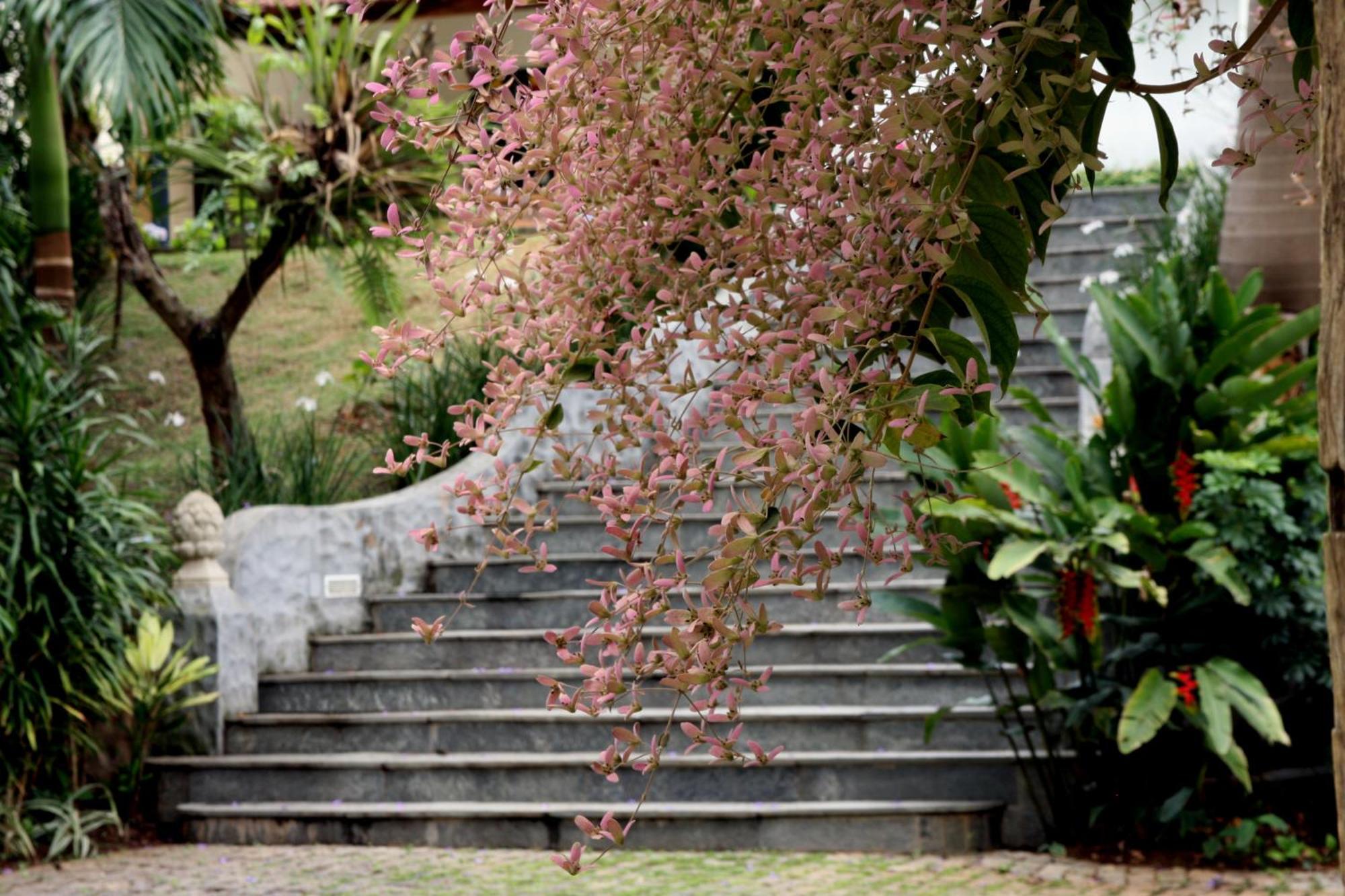 Pousada Villa Magnolia São João del Rei Exteriér fotografie